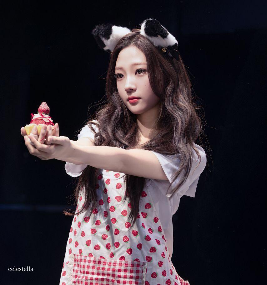 하츠투하츠 스텔라5