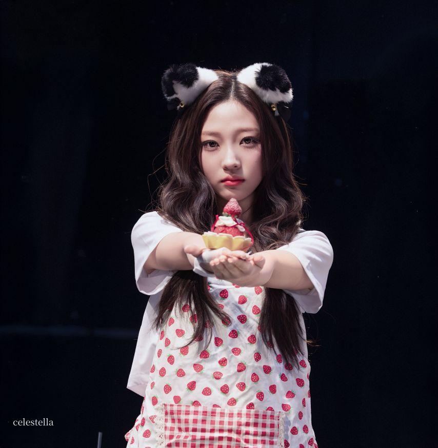 하츠투하츠 스텔라6