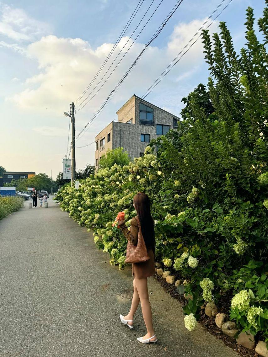 강예빈 각선미2