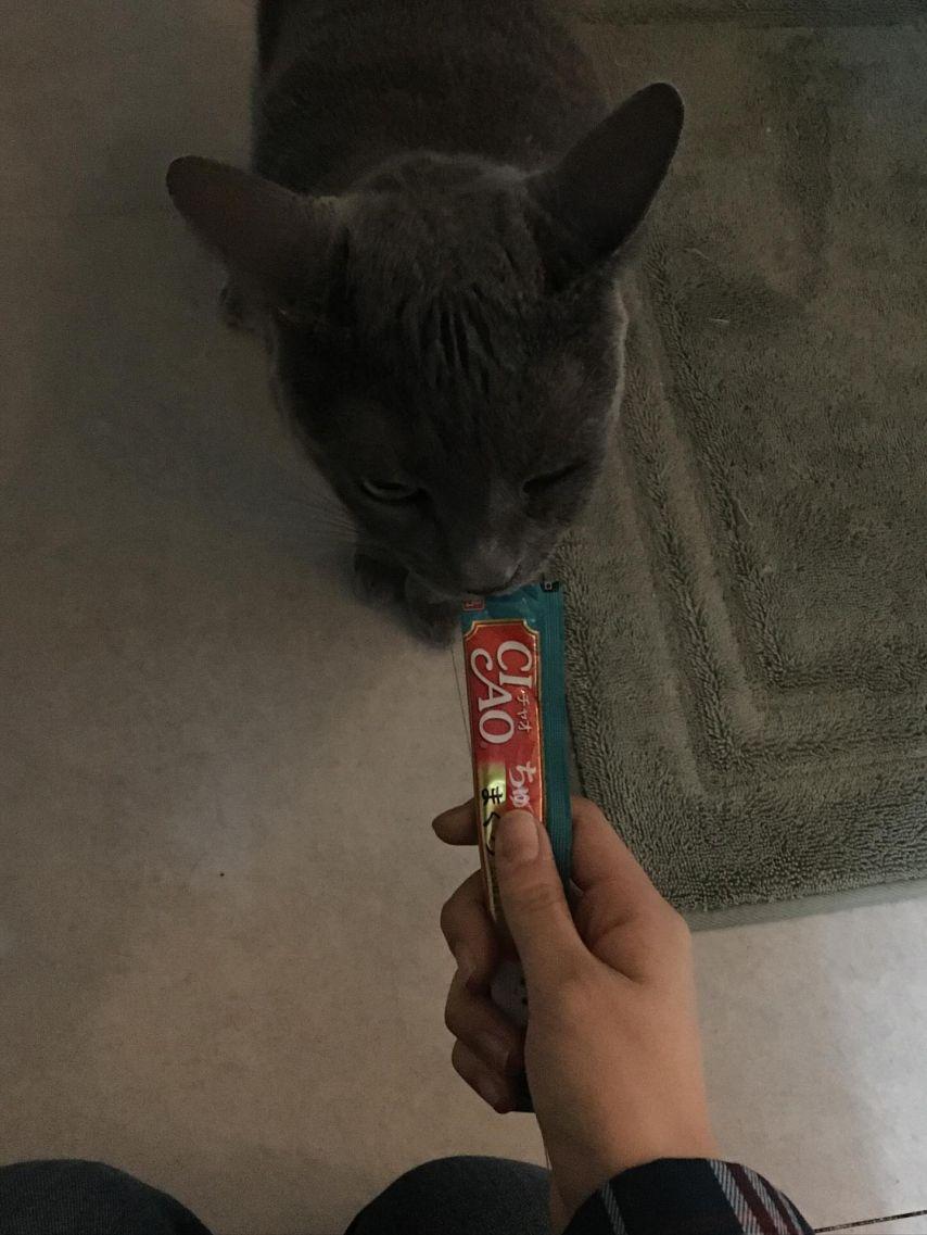 세이마이네임 준휘10