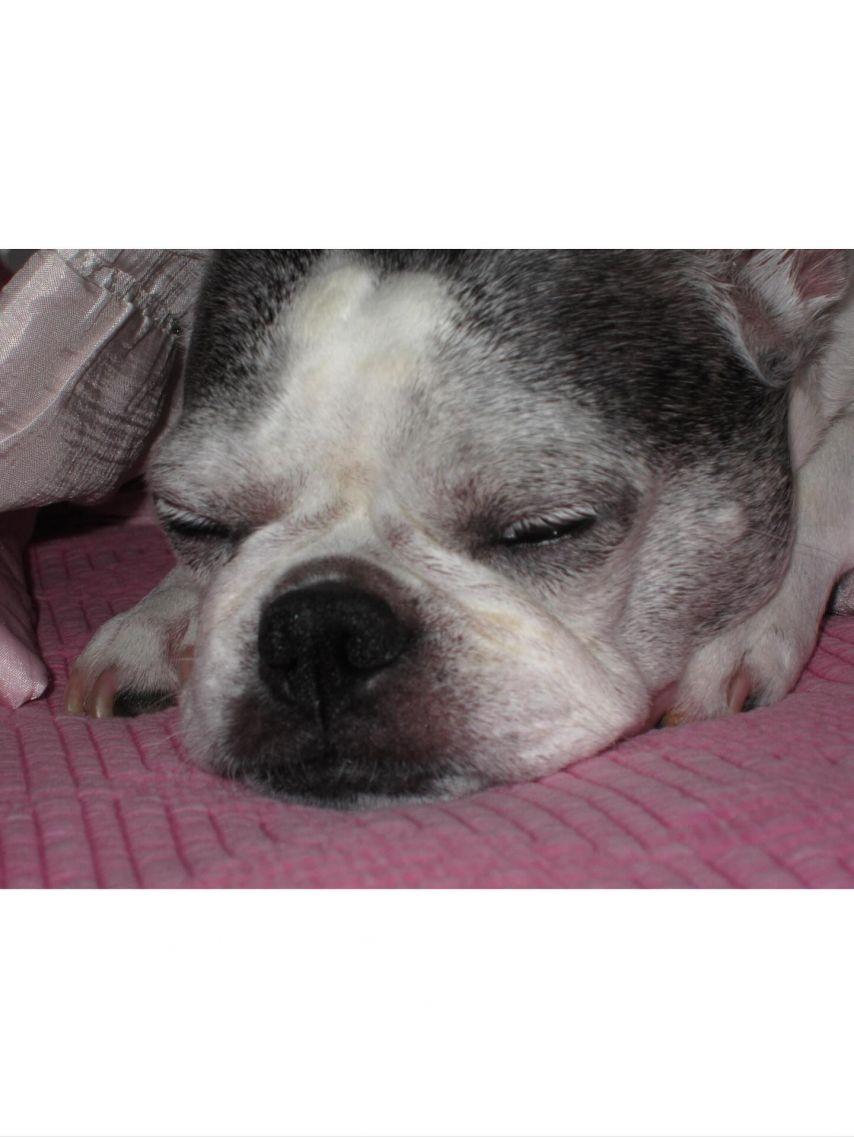 세이마이네임 준휘12