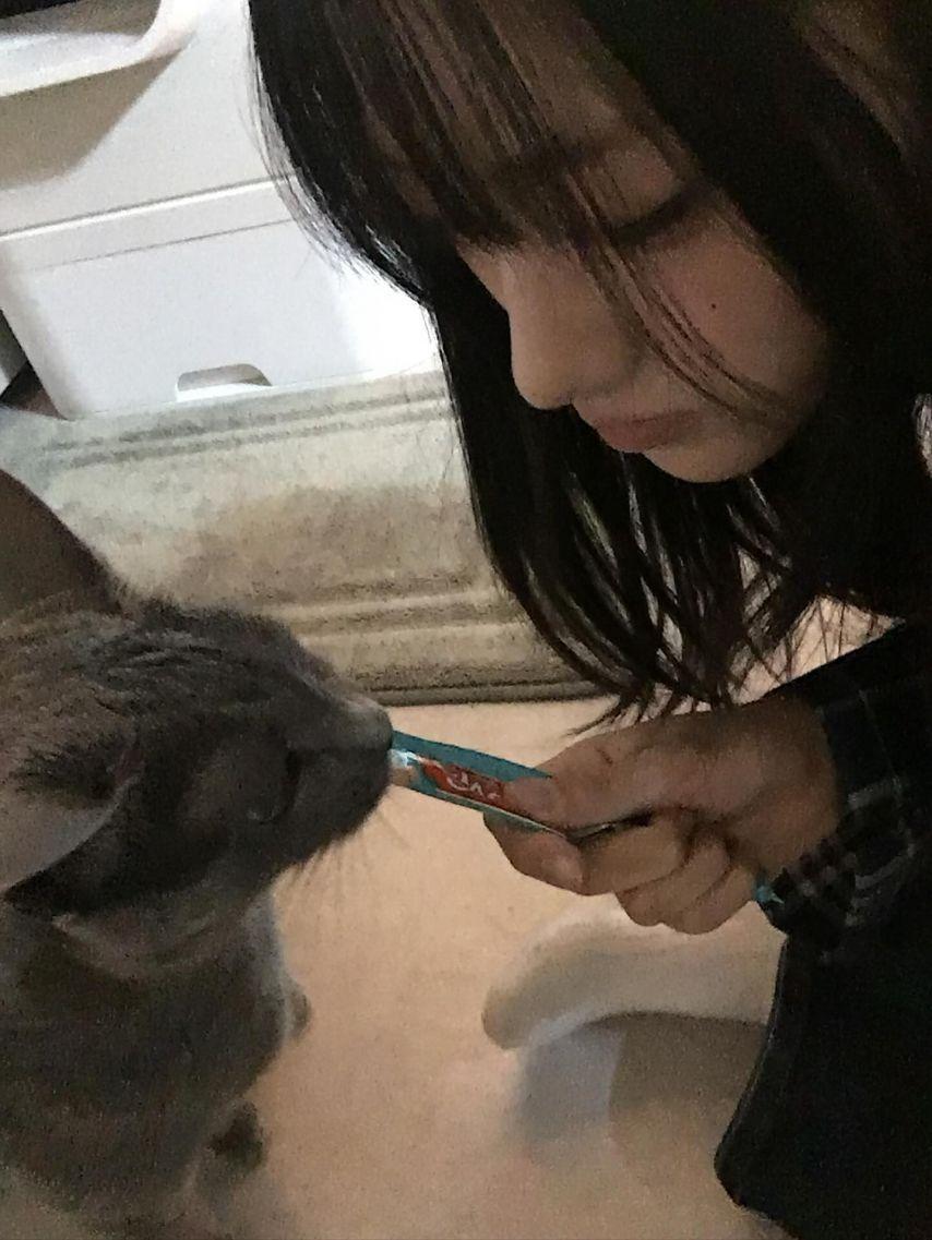 세이마이네임 준휘1