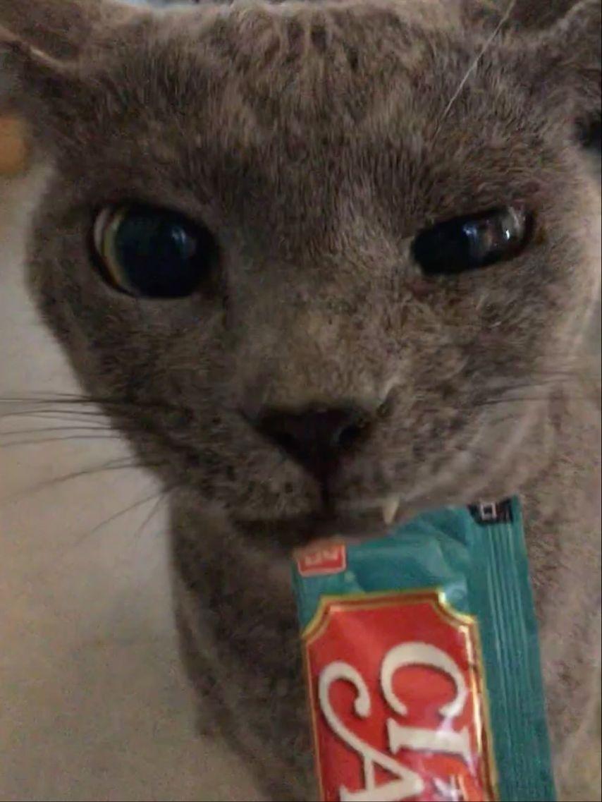 세이마이네임 준휘5