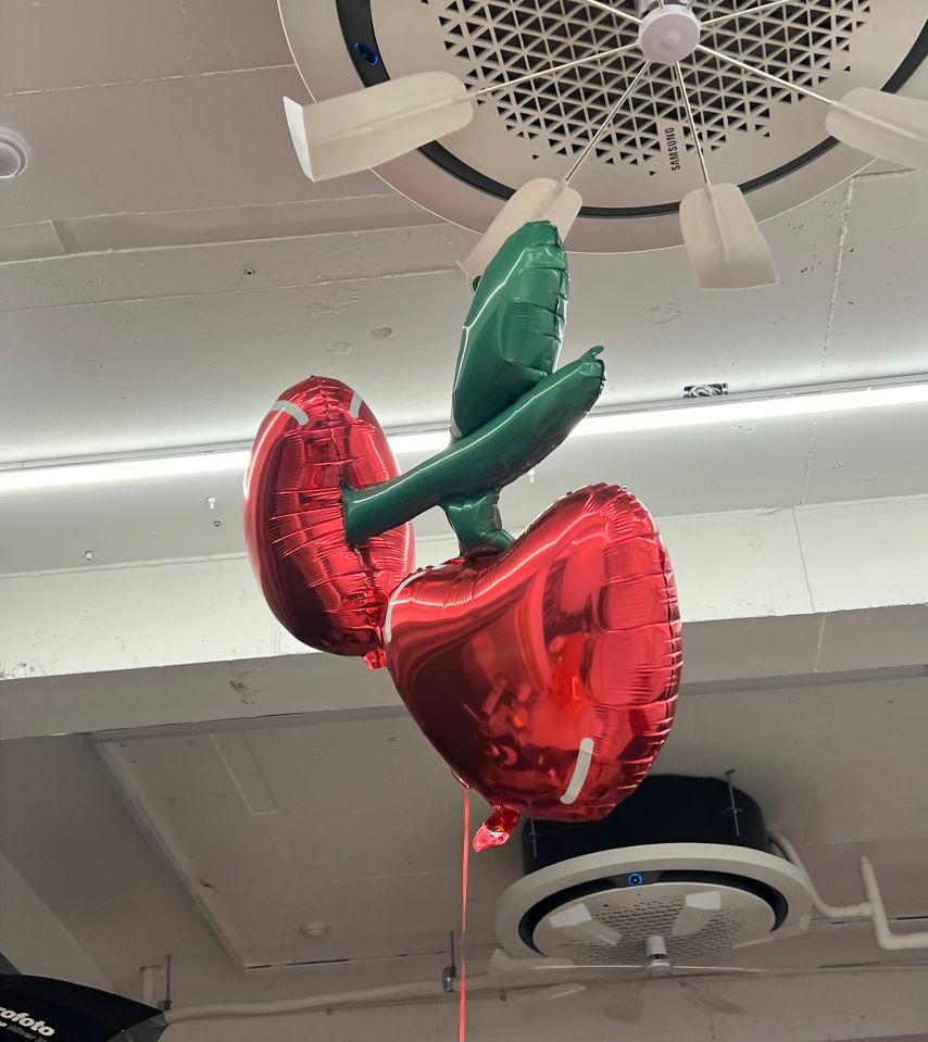 베이비돈크라이 베니7