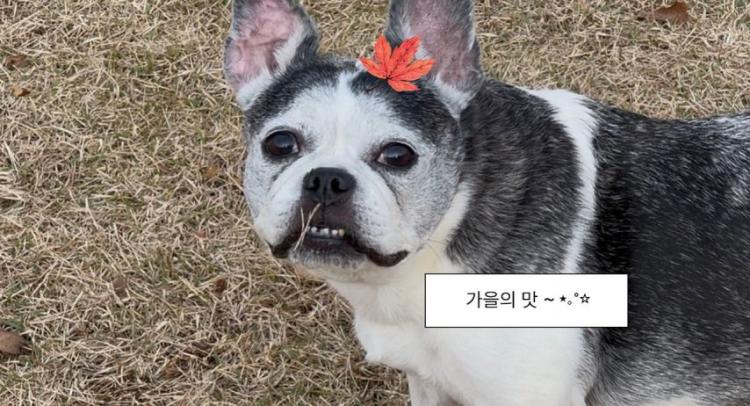 김가은 인스타2