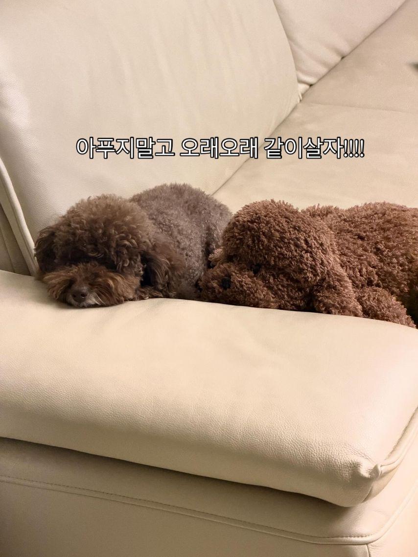 박지영 아나운서18