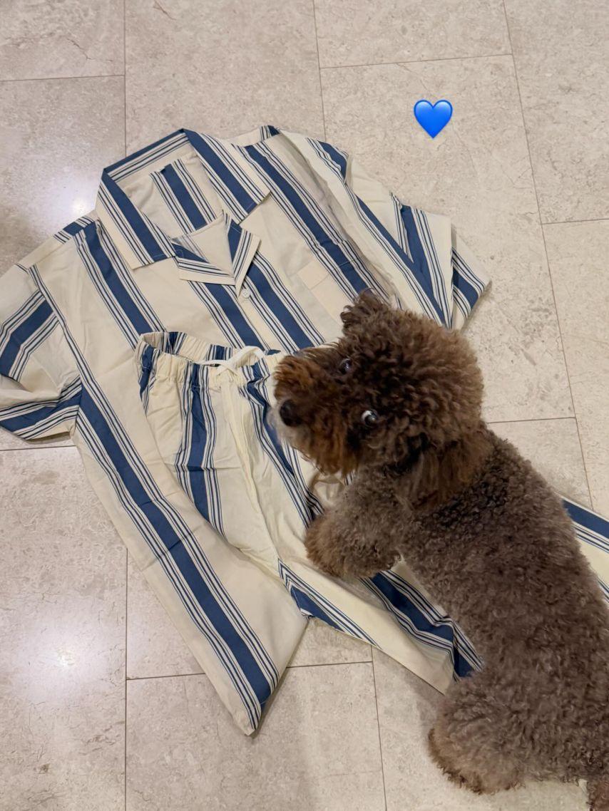 박지영 아나운서5