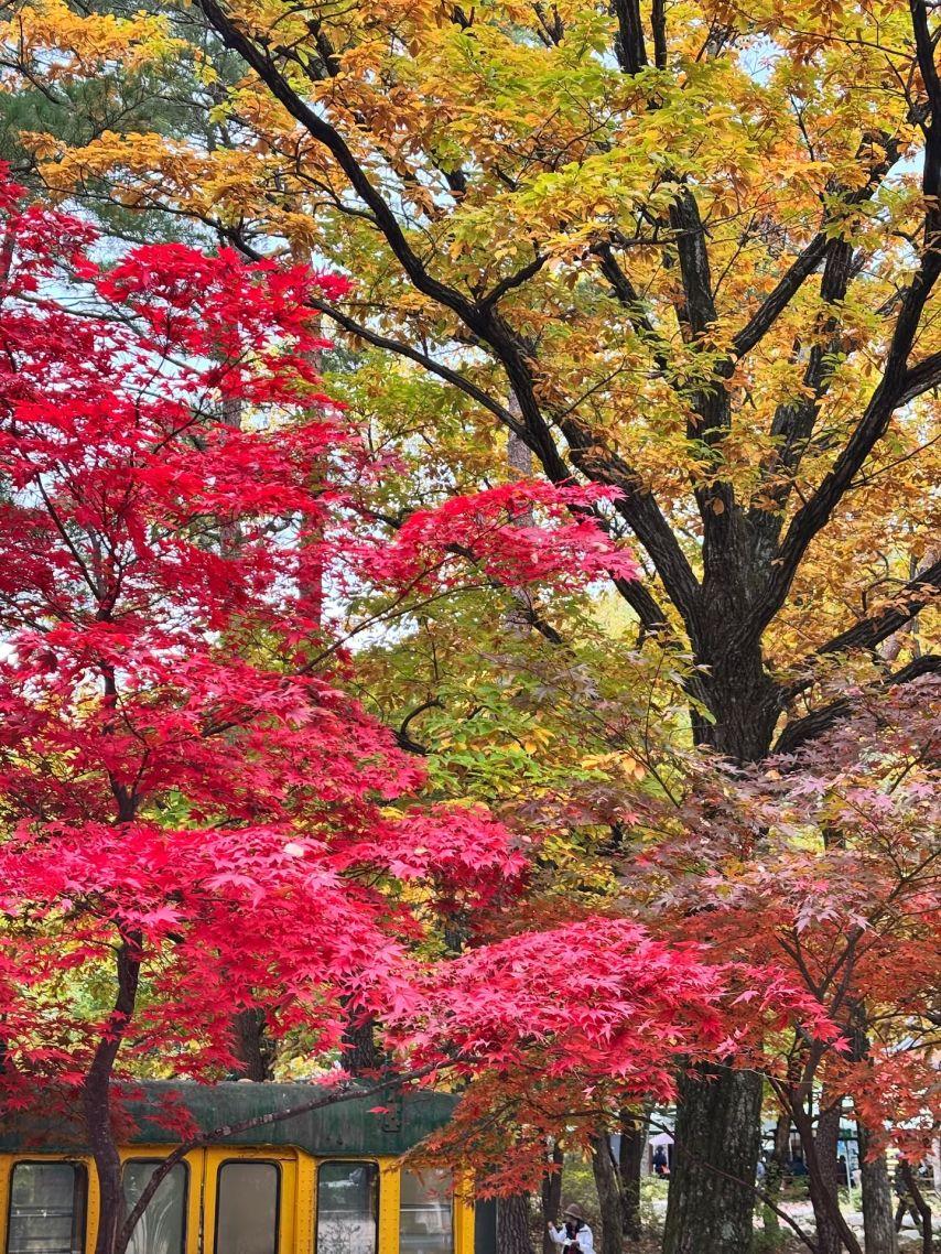 수윤 로켓펀치13