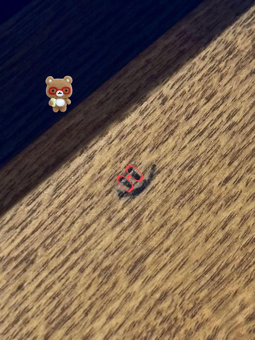 수윤 로켓펀치1