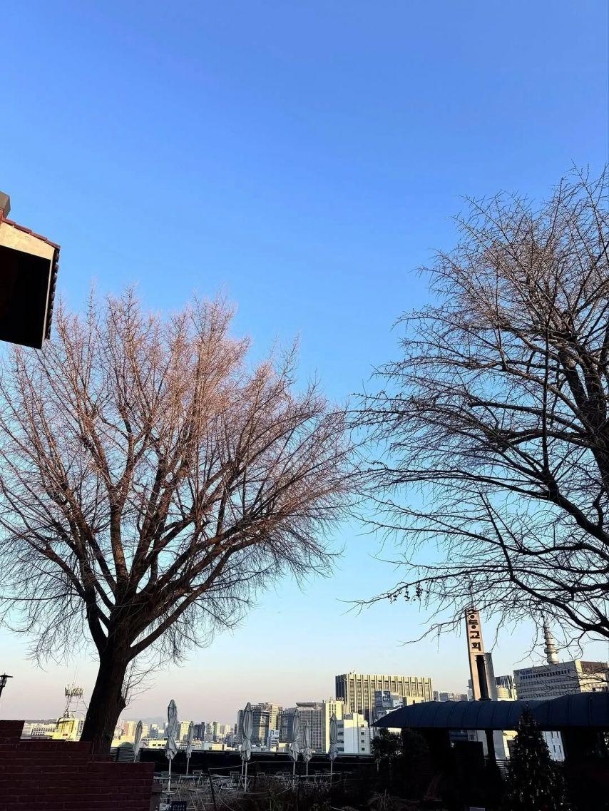 BABYMONSTER (베이비몬스터) 라미6