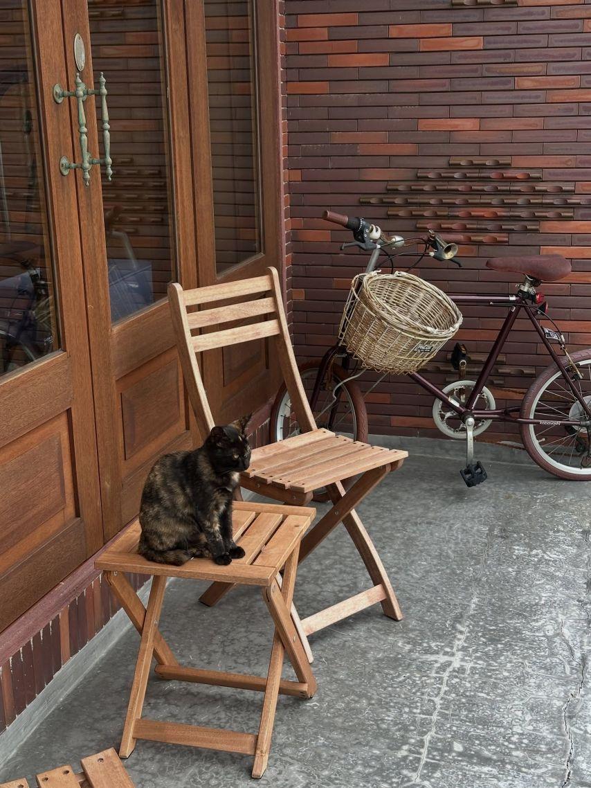 주시은 아나운서15