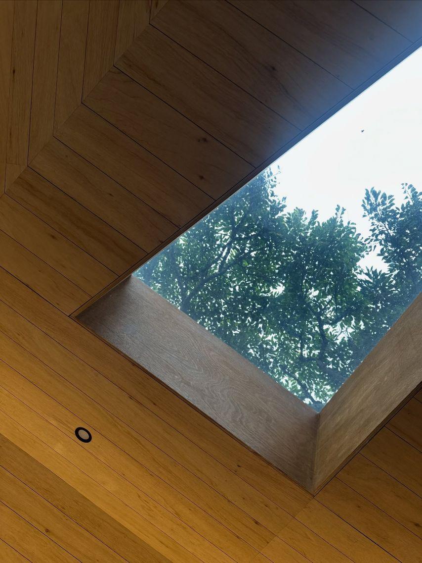 주시은 아나운서5