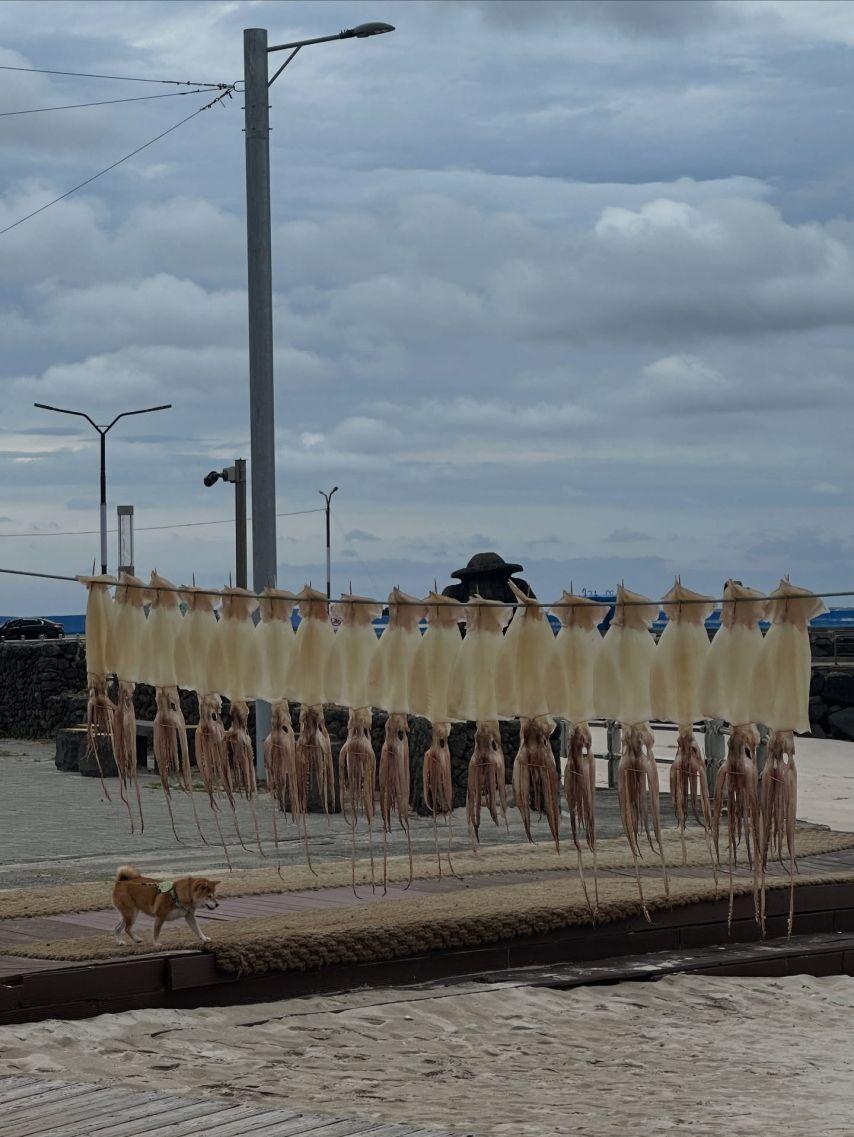 주시은 아나운서8