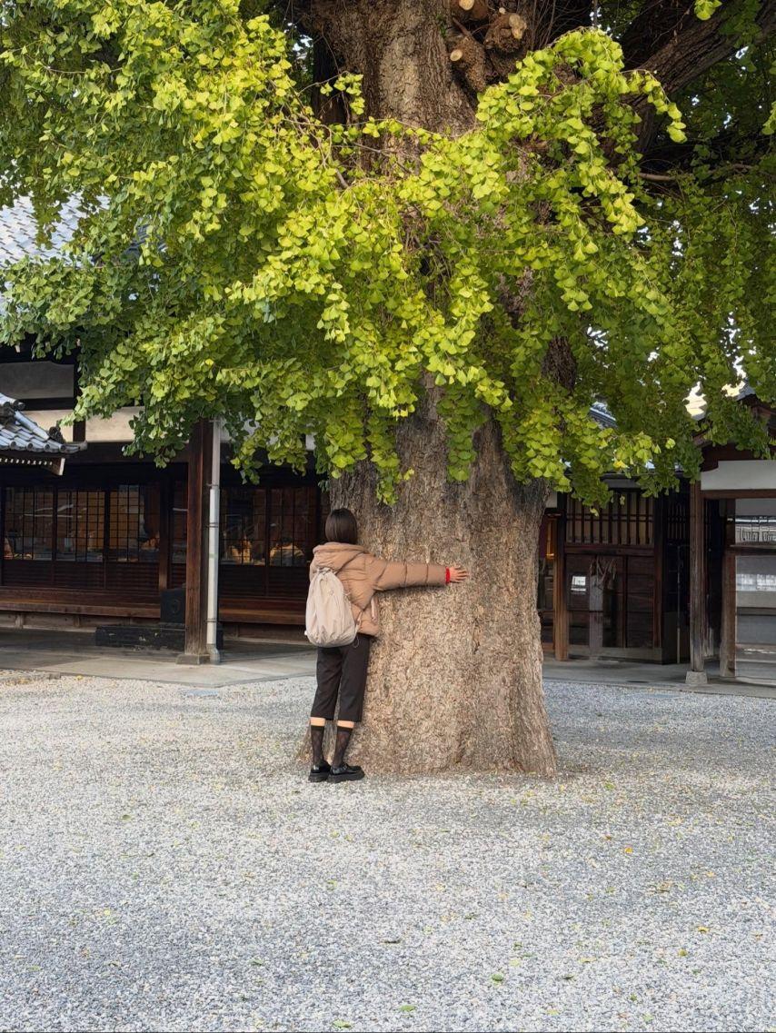 금새록 인별/ 12시엔주현영12