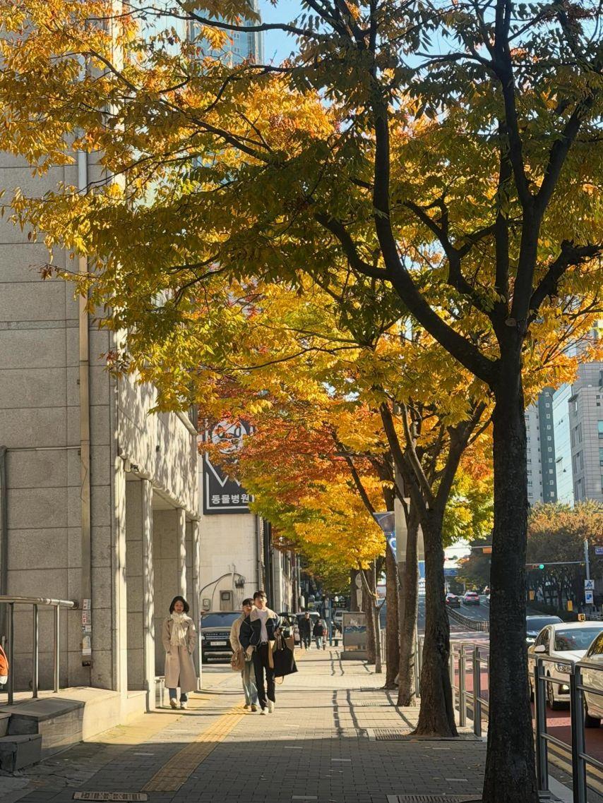 이은빈 아나운서6