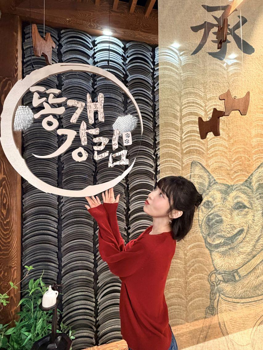 슬기 조이 레드벨벳 드림콘서트/ 조이 인별 & 동물농장2