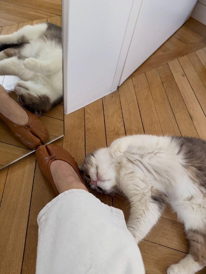 BLACKPINK (블랙핑크) 리사13