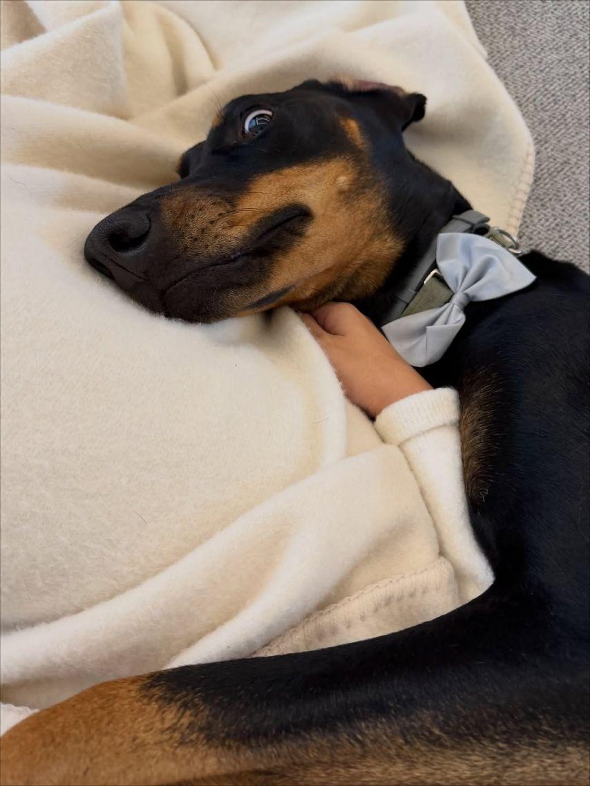 BLACKPINK (블랙핑크) 리사14