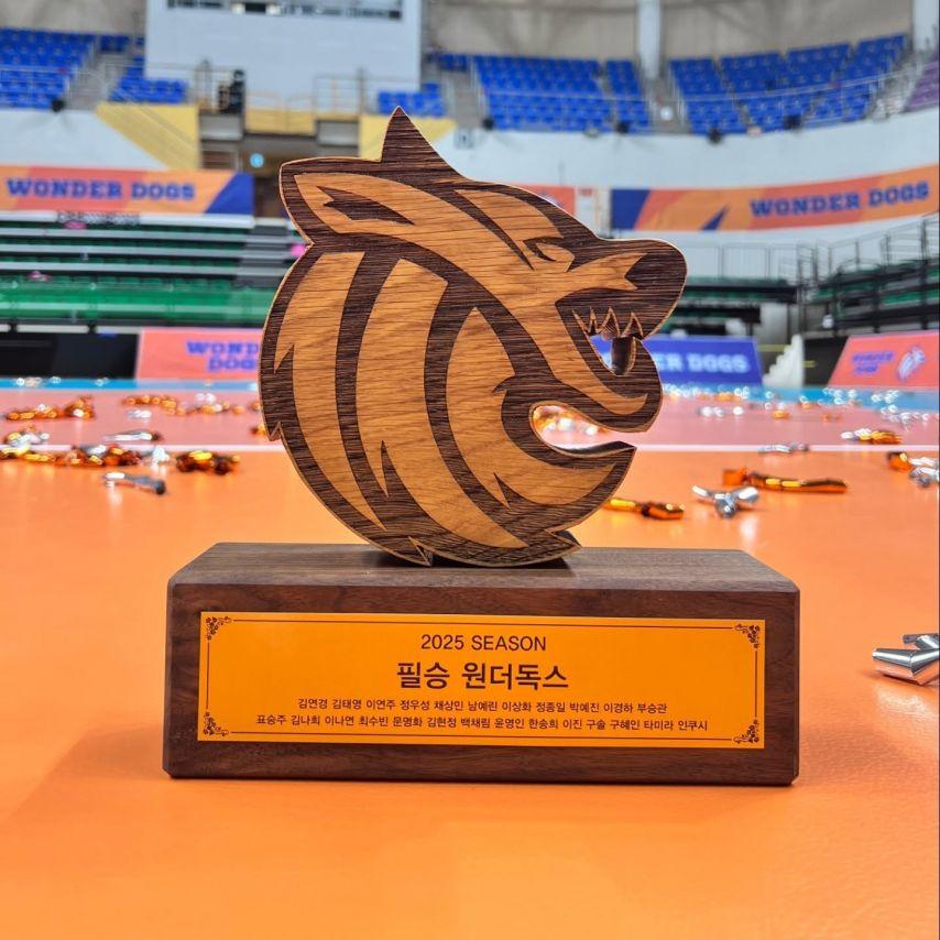 김연경 원더독스 감독15