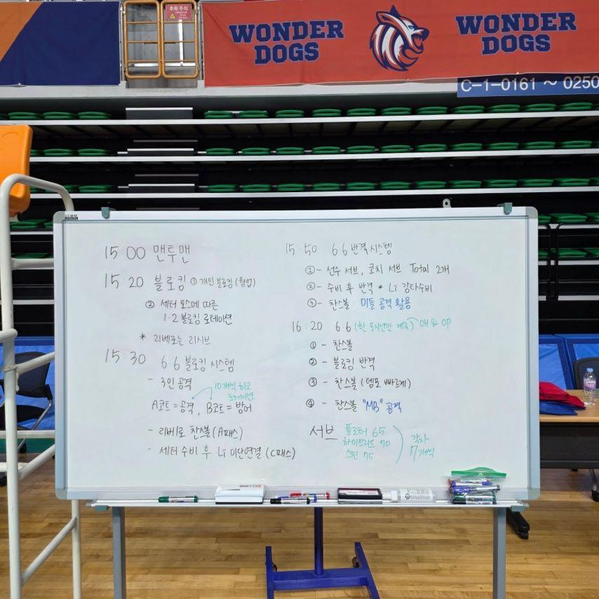 김연경 원더독스 감독9