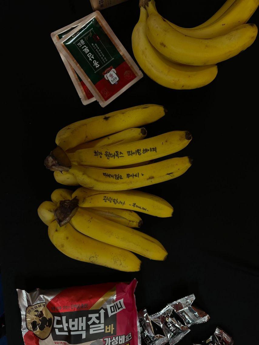 이진 원더독스2