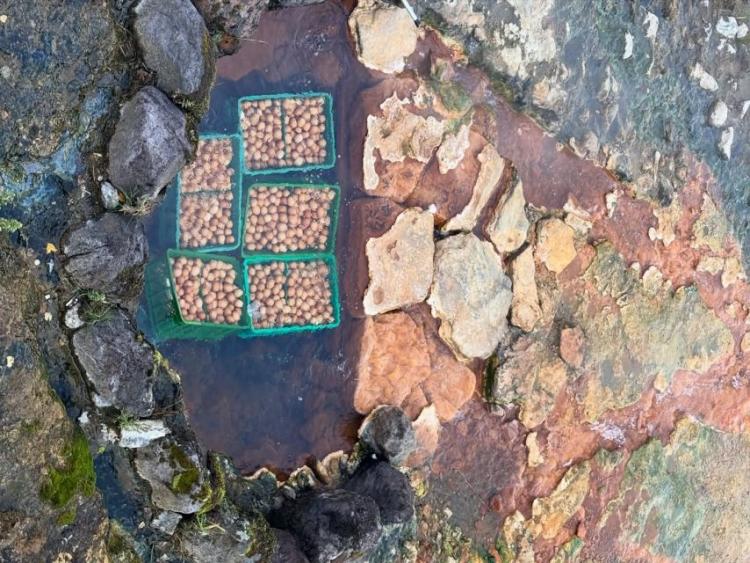 효정 오마이걸 인별 백두산 등5