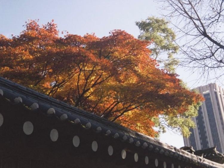 하이키 리이나10