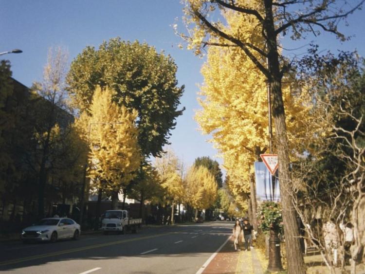 하이키 리이나11