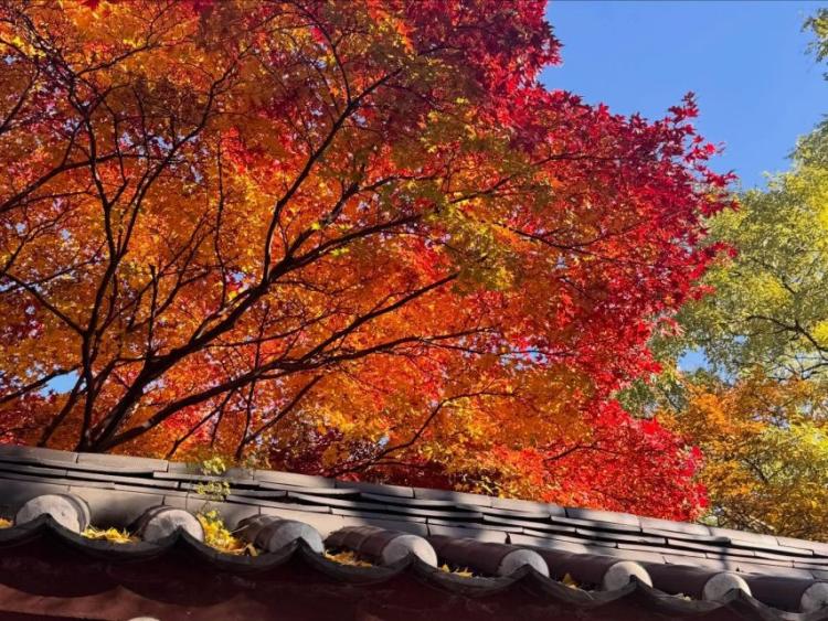 하이키 리이나5