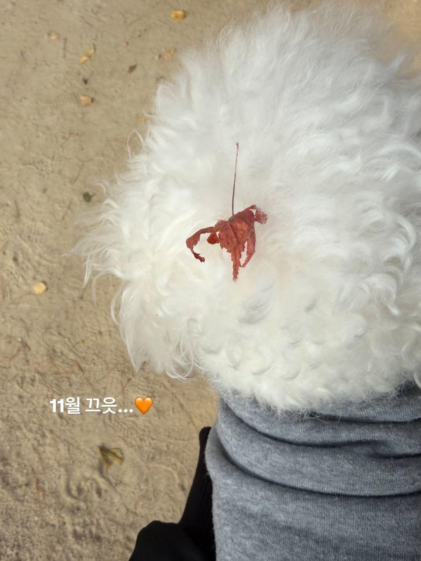 브브걸 은지 SNS11