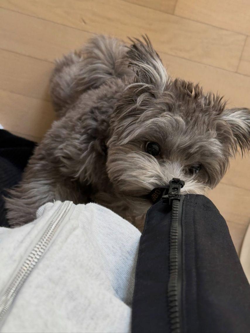 보나김지연 우주소녀5