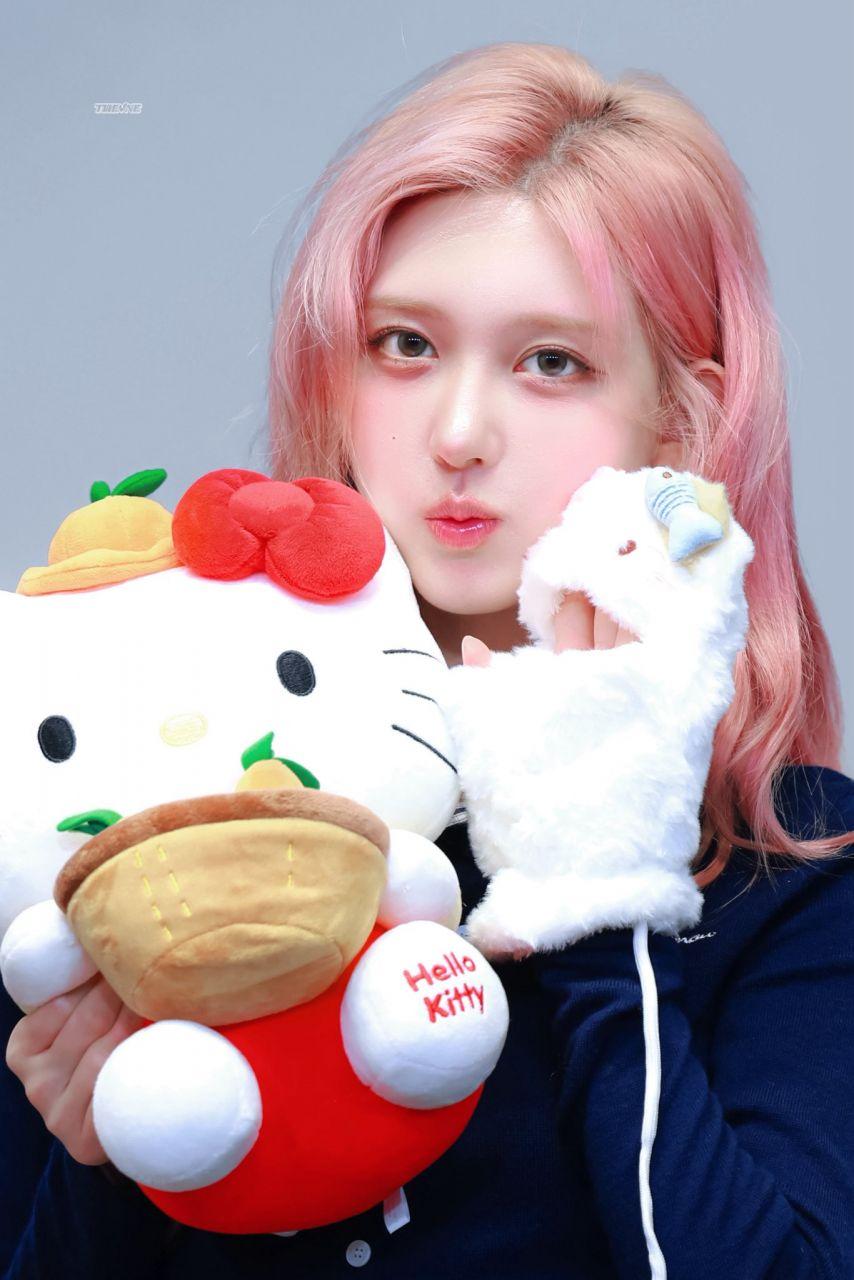 아이브 가을 2511303