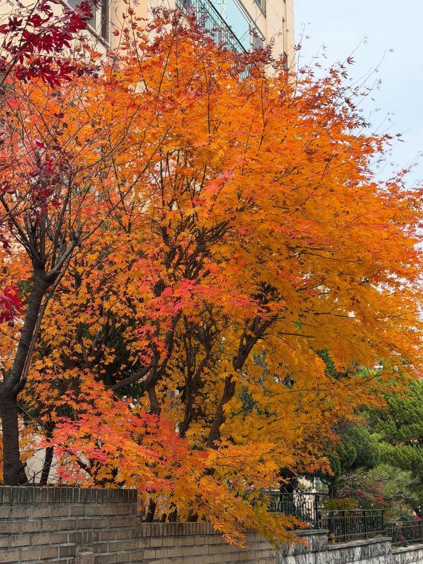 슬기 레드벨벳 인별8