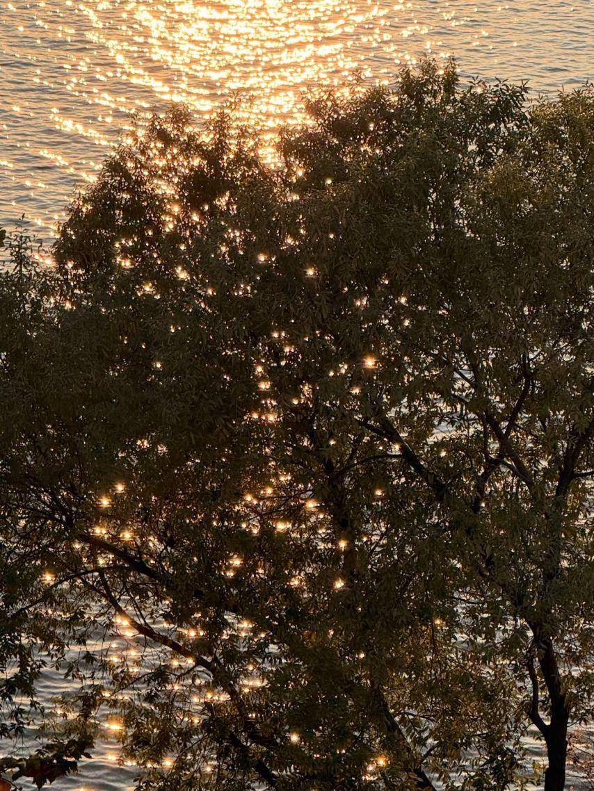 안젤리나 다닐로바4