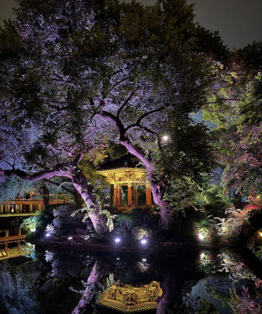 김세정 인별 이강에는달이흐른다 등3