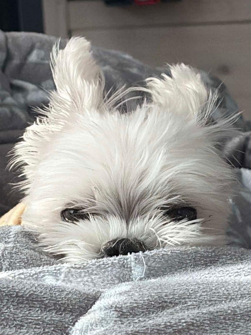 수윤 연희 로켓펀치14