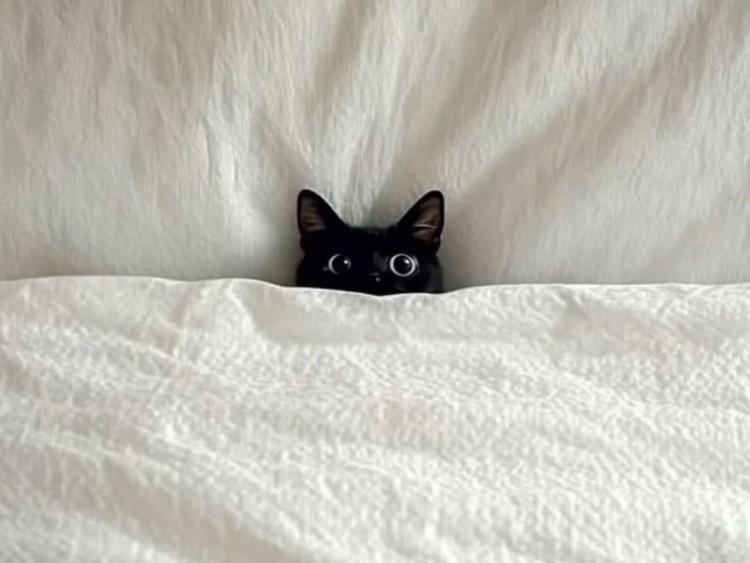 우주소녀 (WJSN) 설아1