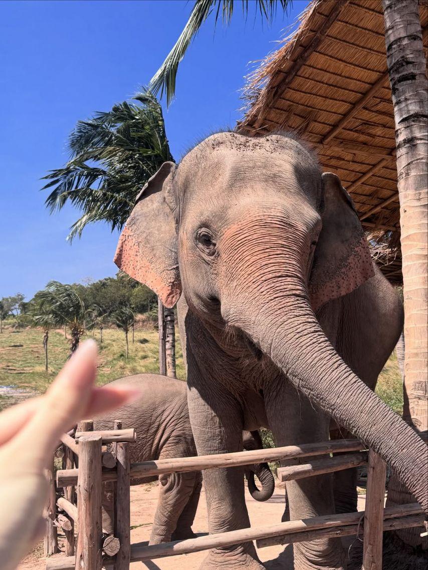 모모랜드 (MOMOLAND) 낸시3