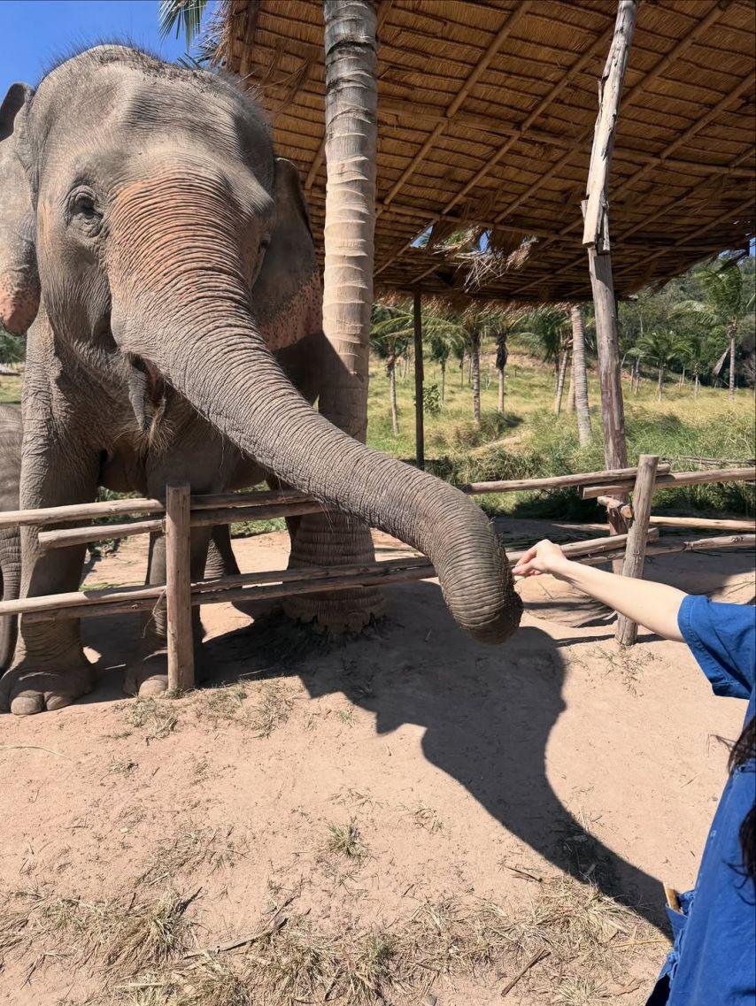 모모랜드 (MOMOLAND) 낸시4