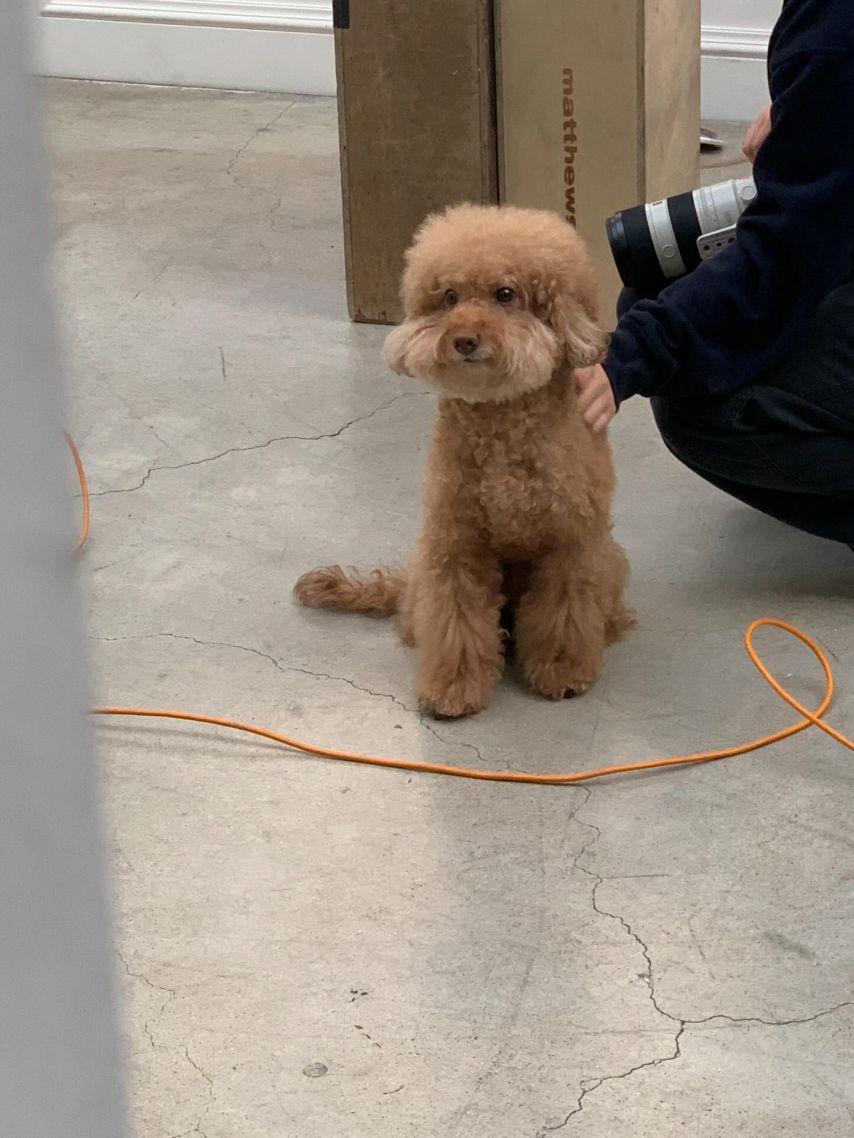 서은수 지그재그 X 메리어라운드24