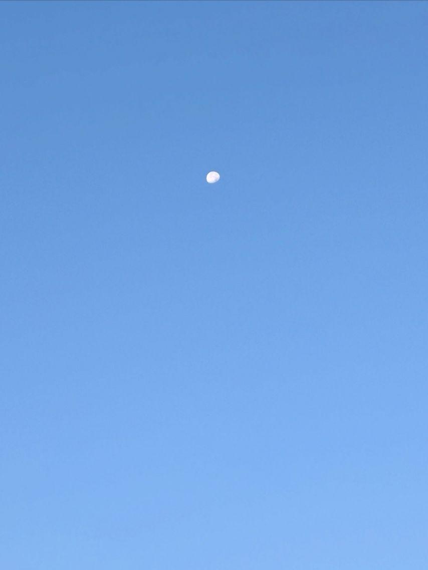 유아/ 효정 오마이걸 인별 등30