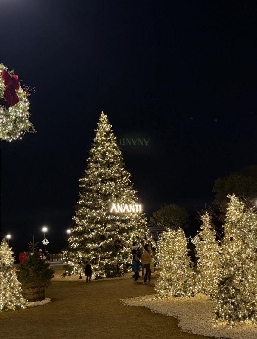 이주빈 리쥬비넥스/ 인별2