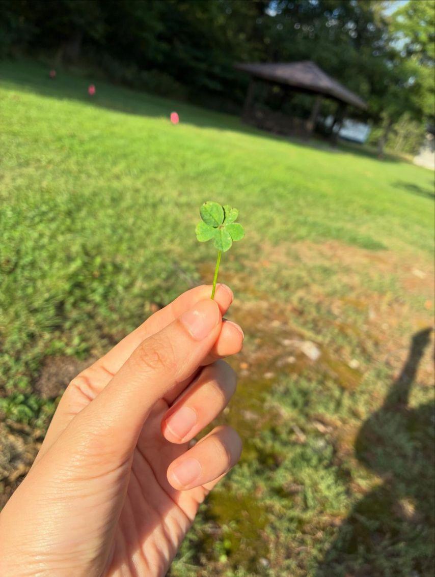 설현 인별 등 바퀴달린집! 선물같은 시간14