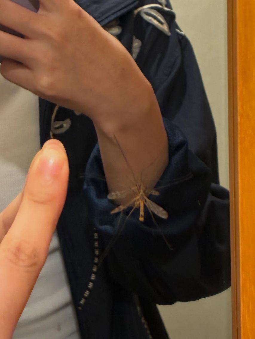 설현 인별 등 바퀴달린집! 선물같은 시간8