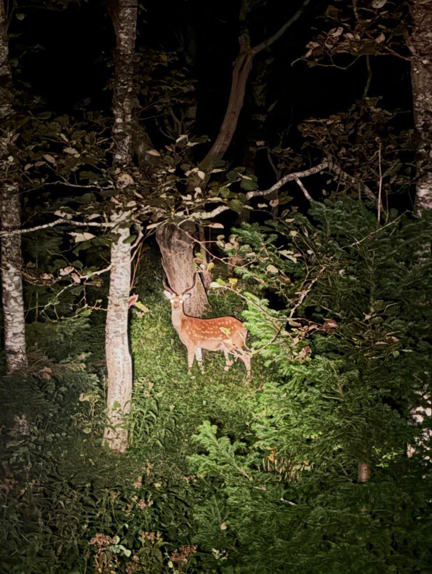 설현 인별 등 바퀴달린집! 선물같은 시간9