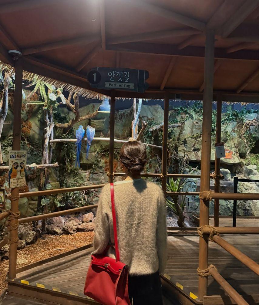 최희 아나운서5