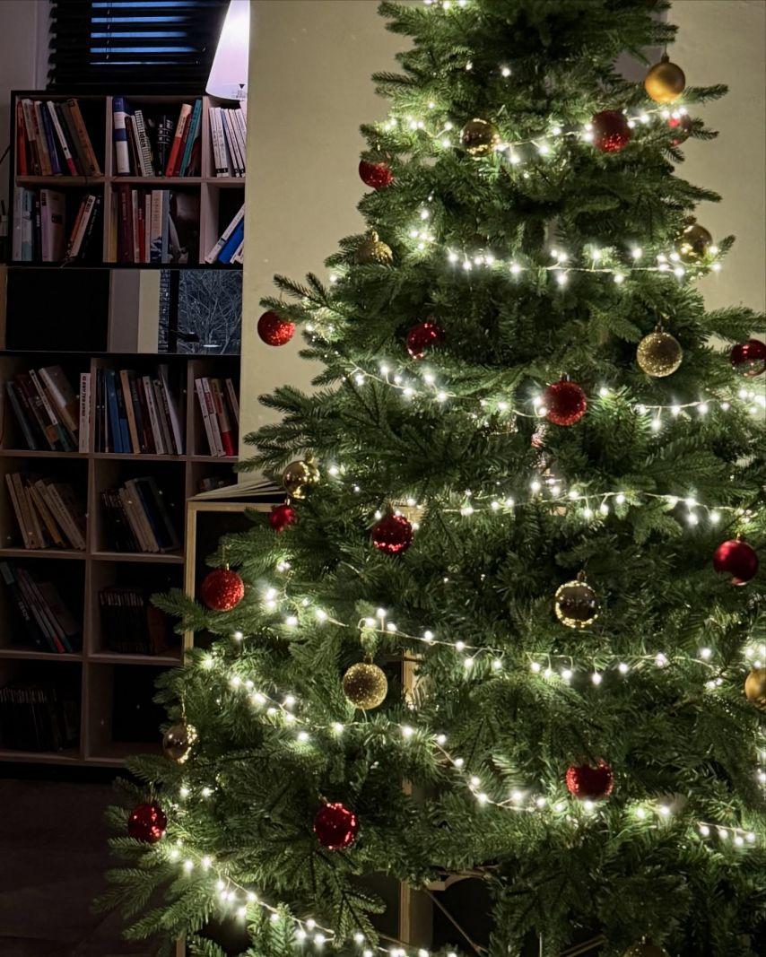 여름/ 은서손주연/ 연정 우주소녀 인별9