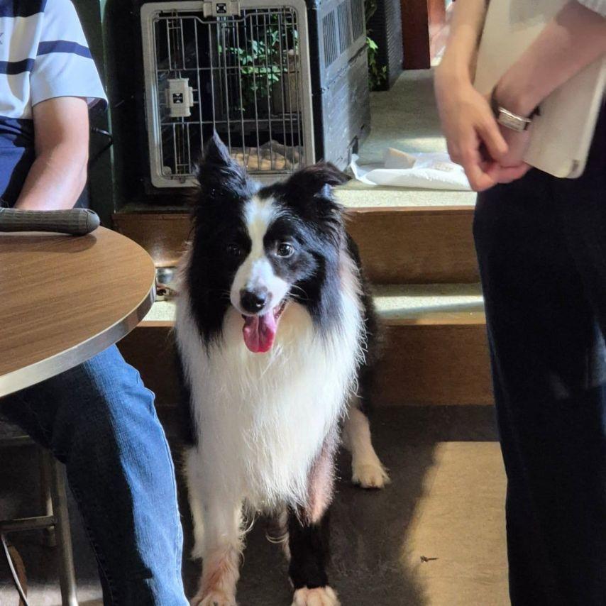 서혜원 인스타1