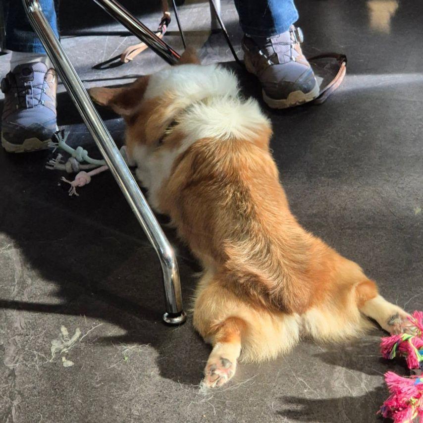 서혜원 인스타2