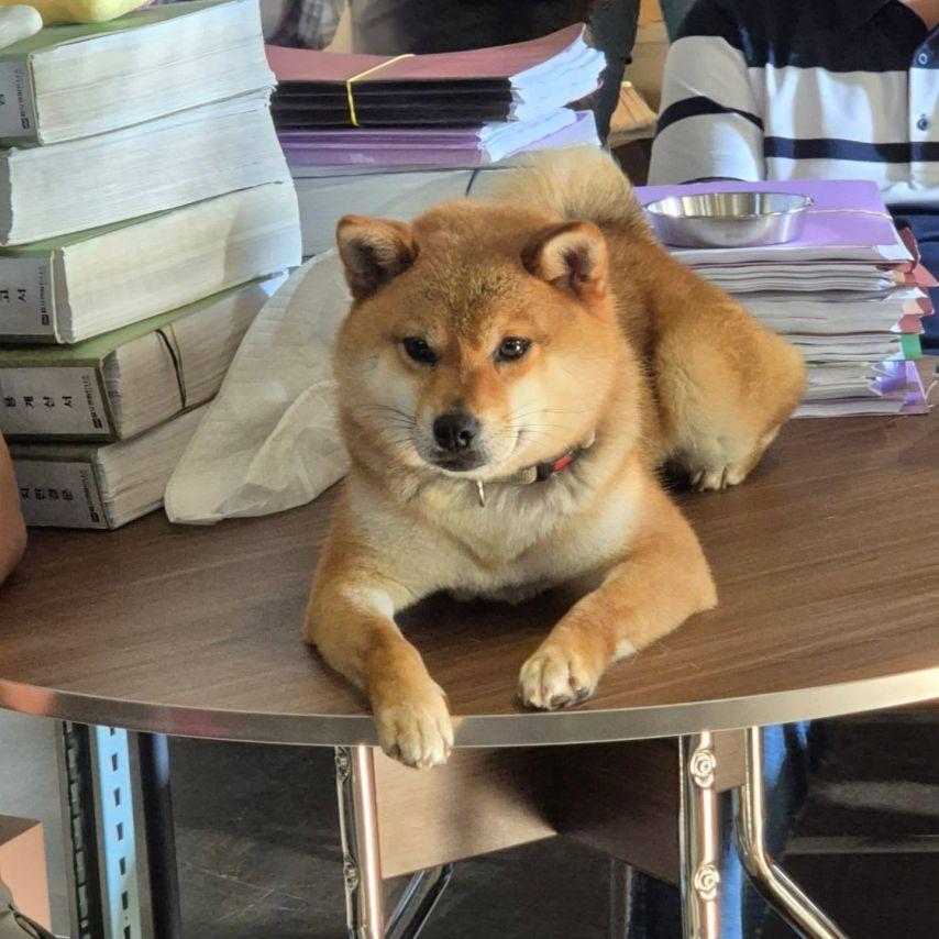 서혜원 인스타3